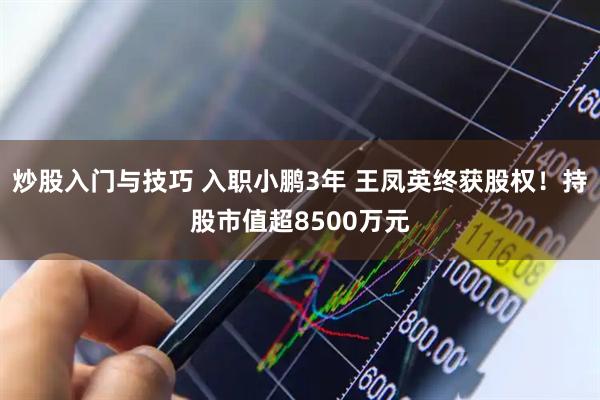 炒股入门与技巧 入职小鹏3年 王凤英终获股权！持股市值超8500万元